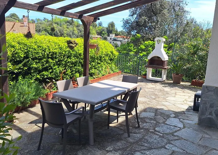 Jungle ベッド・アンド・ブレックファスト 3*