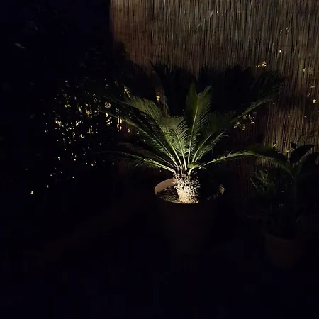 Jungle Bed & Breakfast Varazze