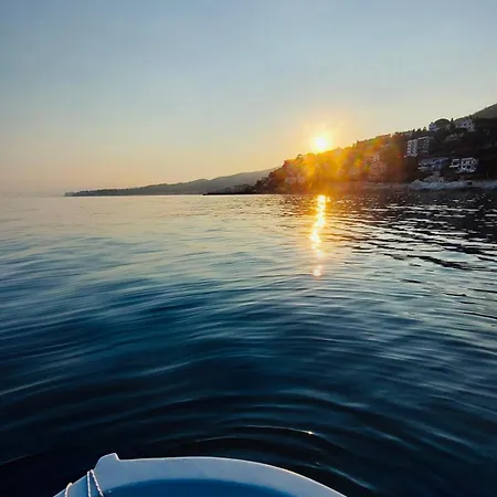 Bed & Breakfast Jungle