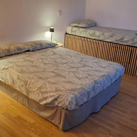 Jungle Bed & Breakfast 3*