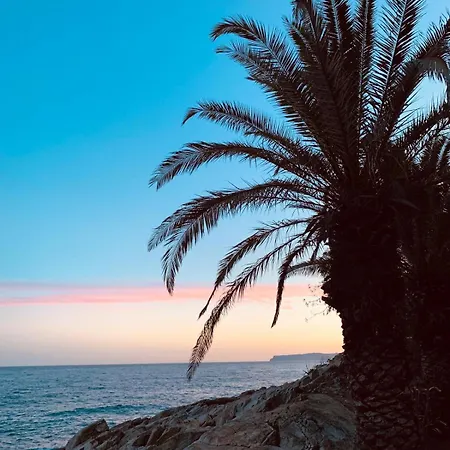 Jungle Bed & Breakfast Varazze